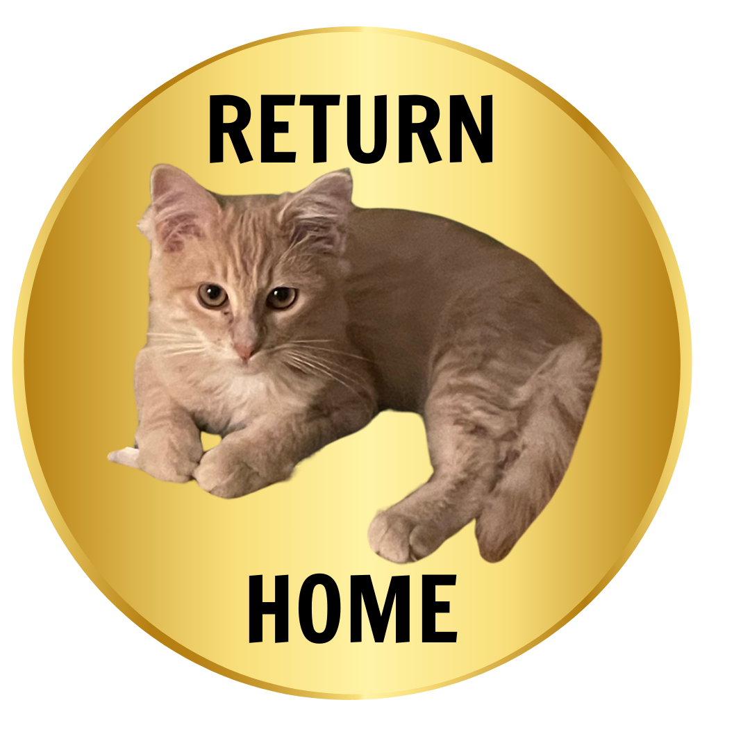 Button To Return Home