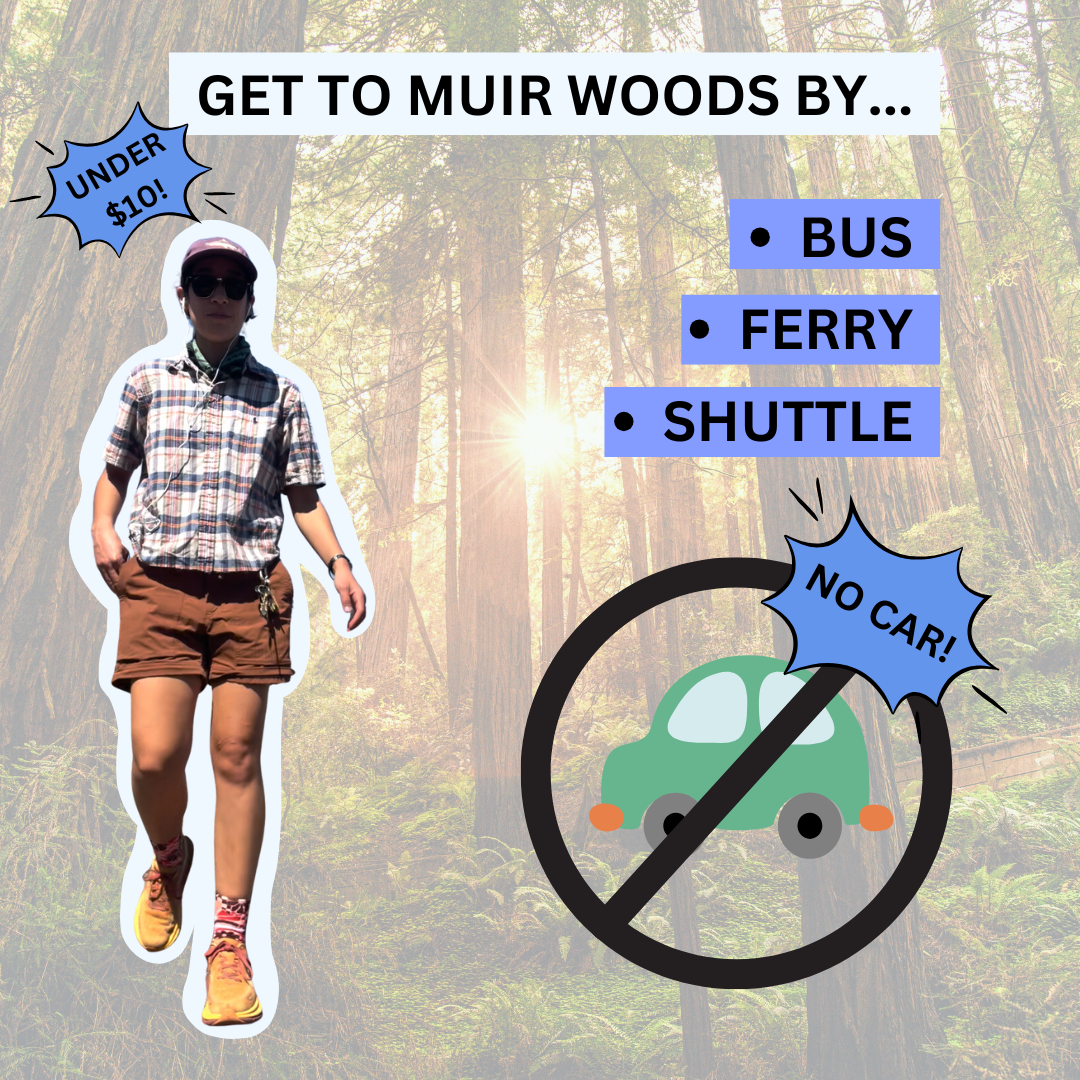 How To Get To Muir Woods Without A Car